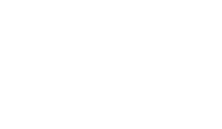 Globewidel Logo white